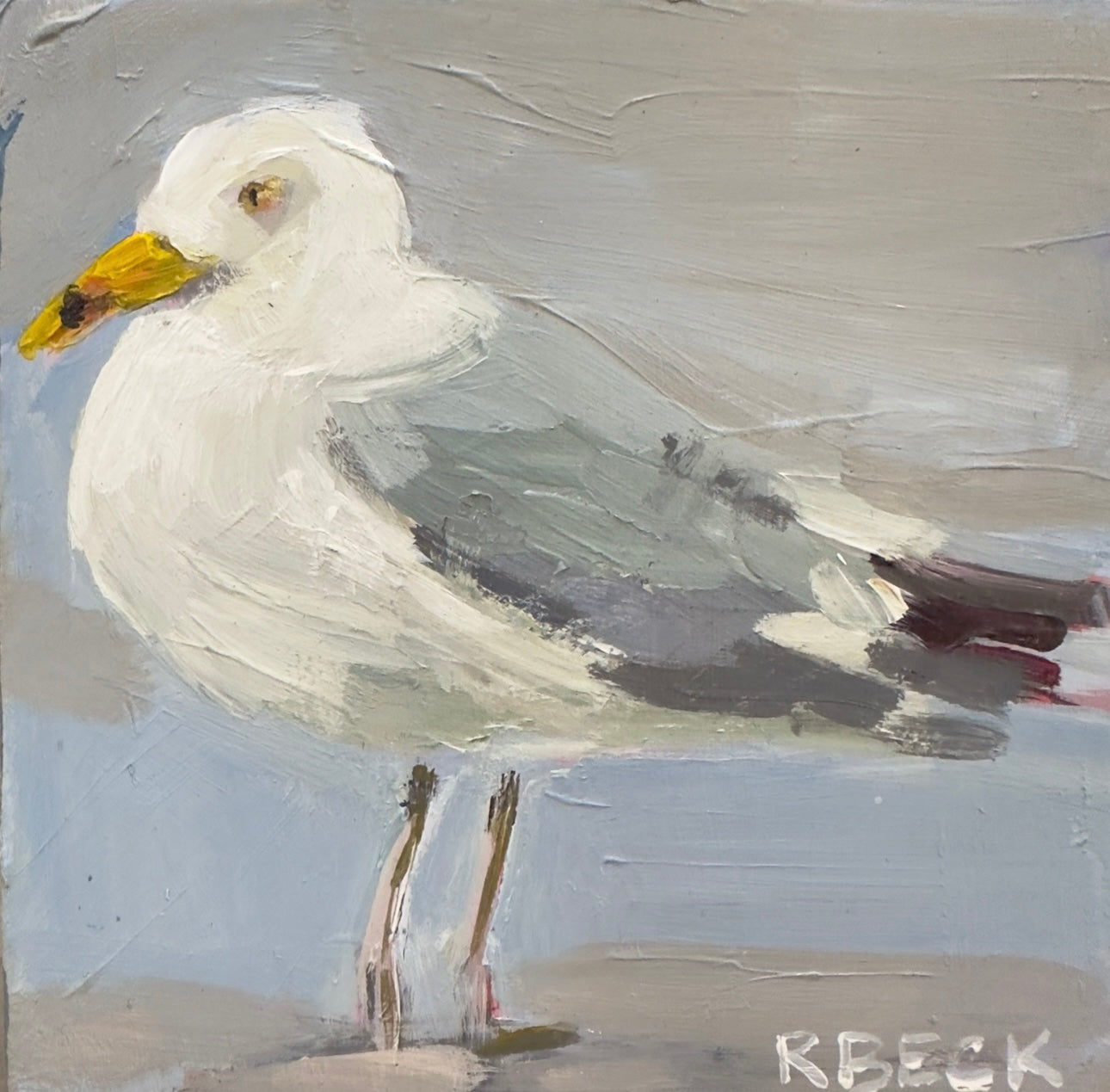 A square herring gull shorebird portrait inspired by the Charleston coast rendered as a coastal fine art print by Ryan Beck.