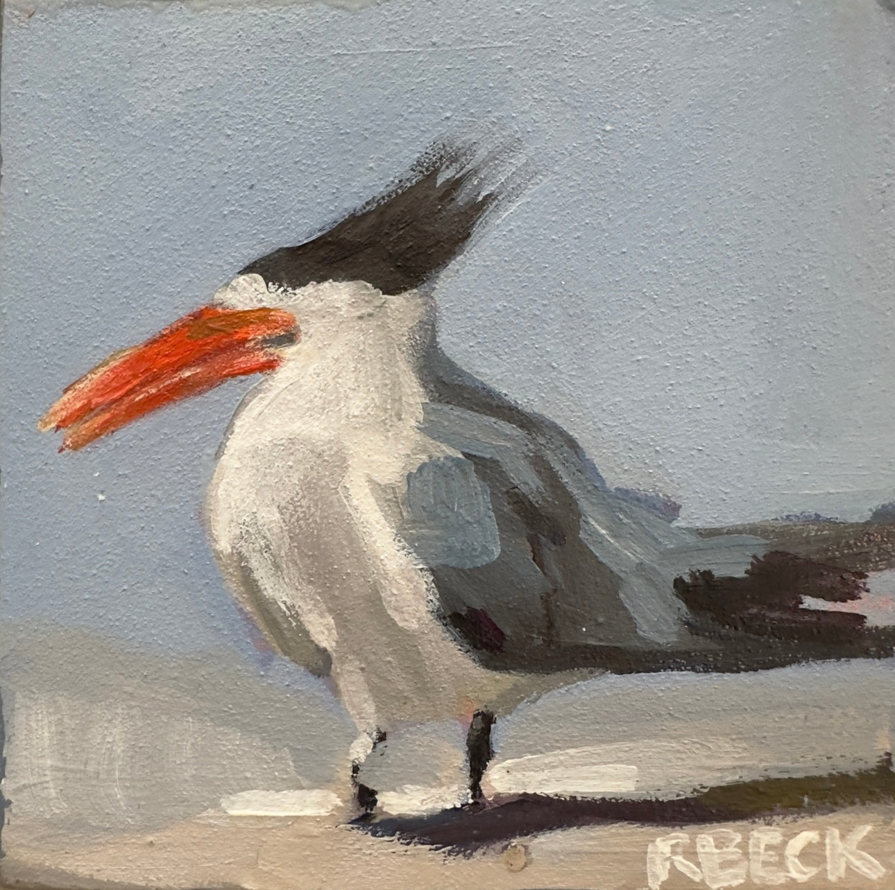 A square royal tern shorebird portrait inspired by the Charleston coast rendered as a coastal fine art print by Ryan Beck.