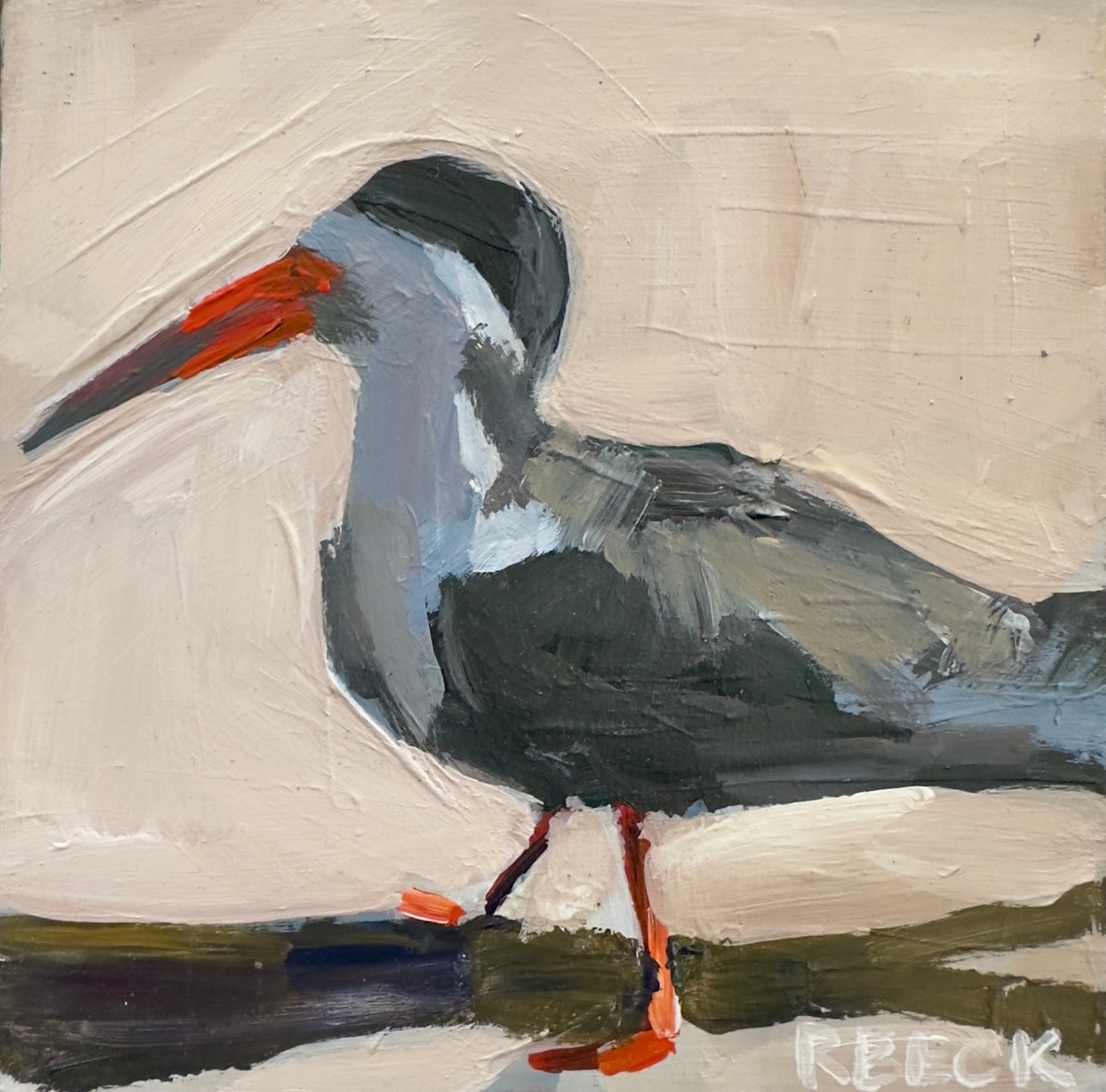 A square black skimmer shorebird portrait inspired by the Charleston coast rendered as a coastal fine art print by Ryan Beck.