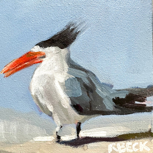 Royal Tern mini print by Charleston artist Ryan Beck, featuring a serene blue palette that captures the elegance of this coastal bird