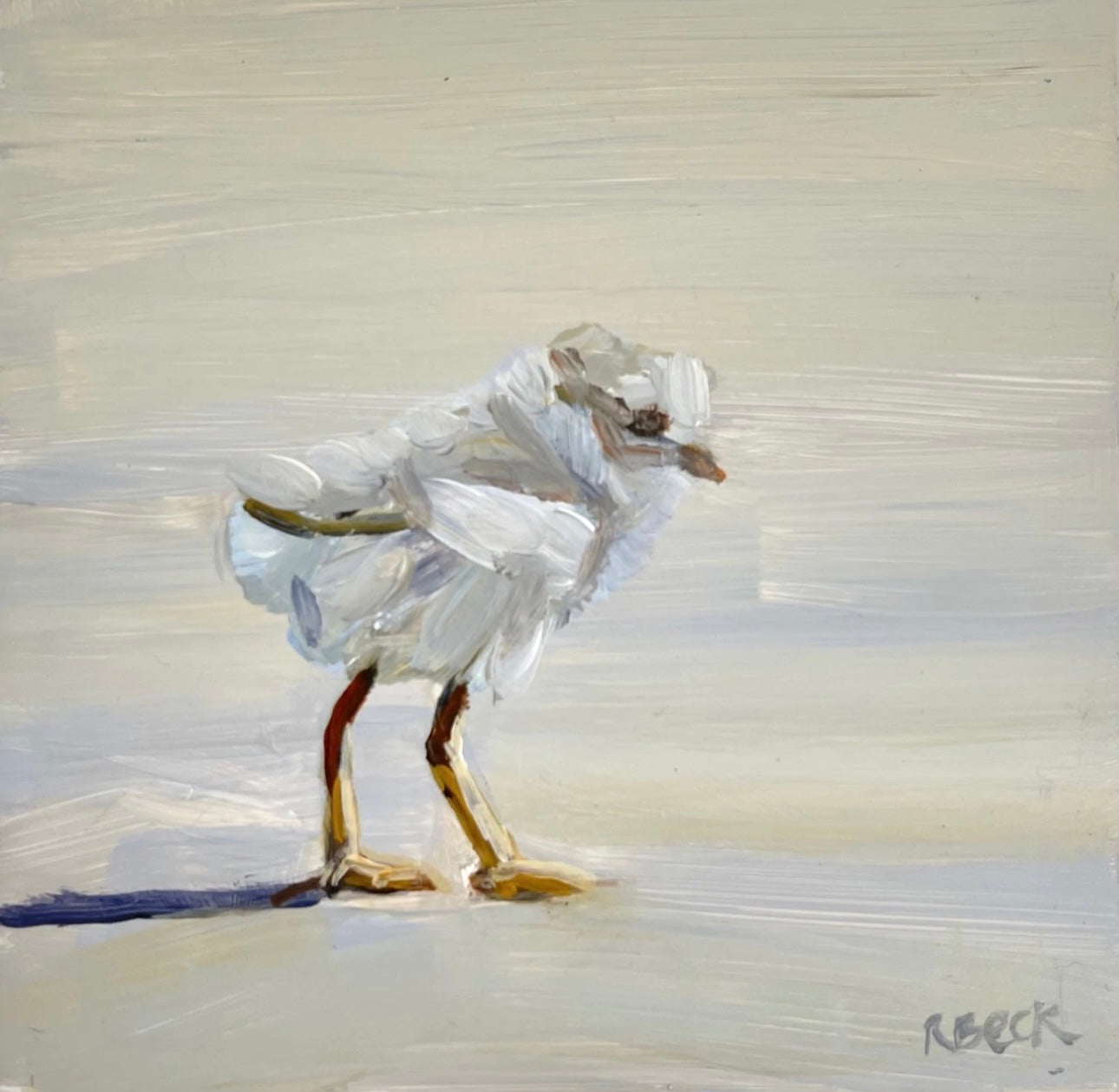 A square sandpiper shorebird portrait inspired by the Charleston coast rendered as a coastal fine art print by Ryan Beck.