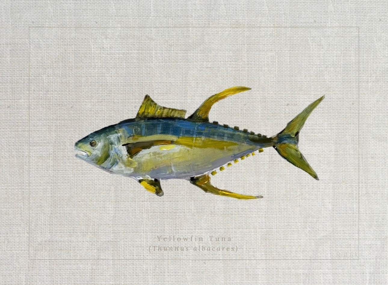 Coastal fine art print of a yellowfin tuna study with Thunnus albacares beneath the illustration in a vintage natural history style by Ryan Beck.