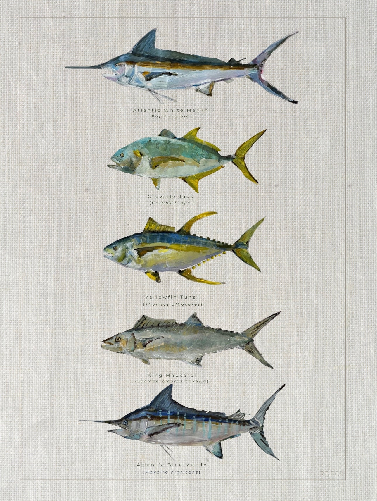 Giclée print of Offshore Fish by Charleston artist Ryan Beck, featuring Atlantic White Marlin, Crevalle Jack, Yellowfin Tuna, King Mackerel, and Atlantic Blue Marlin with common and scientific names below, inspired by vintage fish identification books.